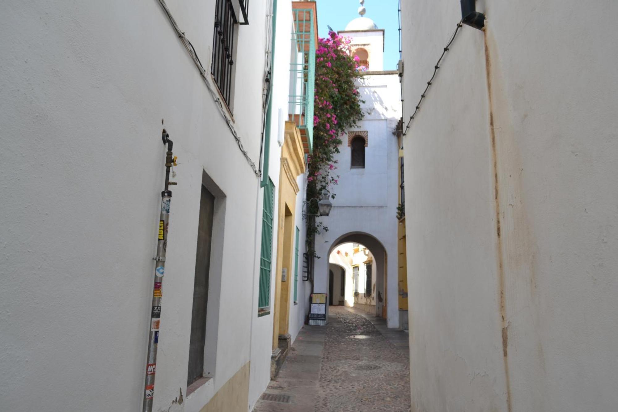 Sunshine Patio De La Hoguera Lägenhet Córdoba Exteriör bild